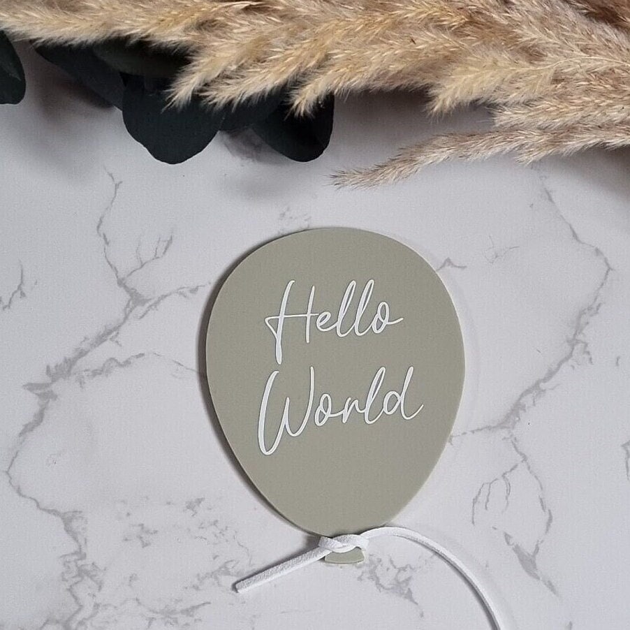 Hello World Baby Announcement Balloon Petite Souris Creations