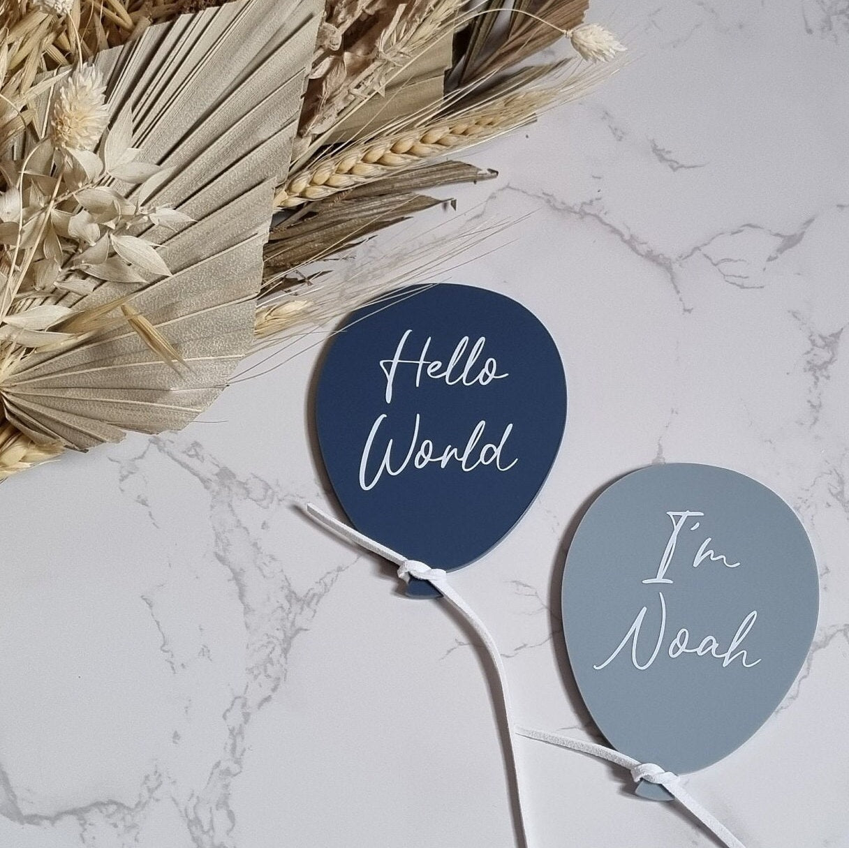 Hello World Two Baby Announcement Balloons Petite Souris Creations