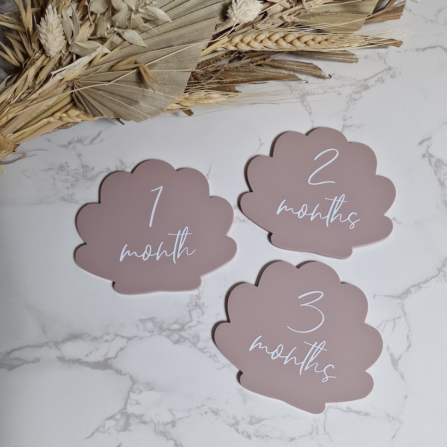 Shell Acrylic Baby Monthly Milestone Set