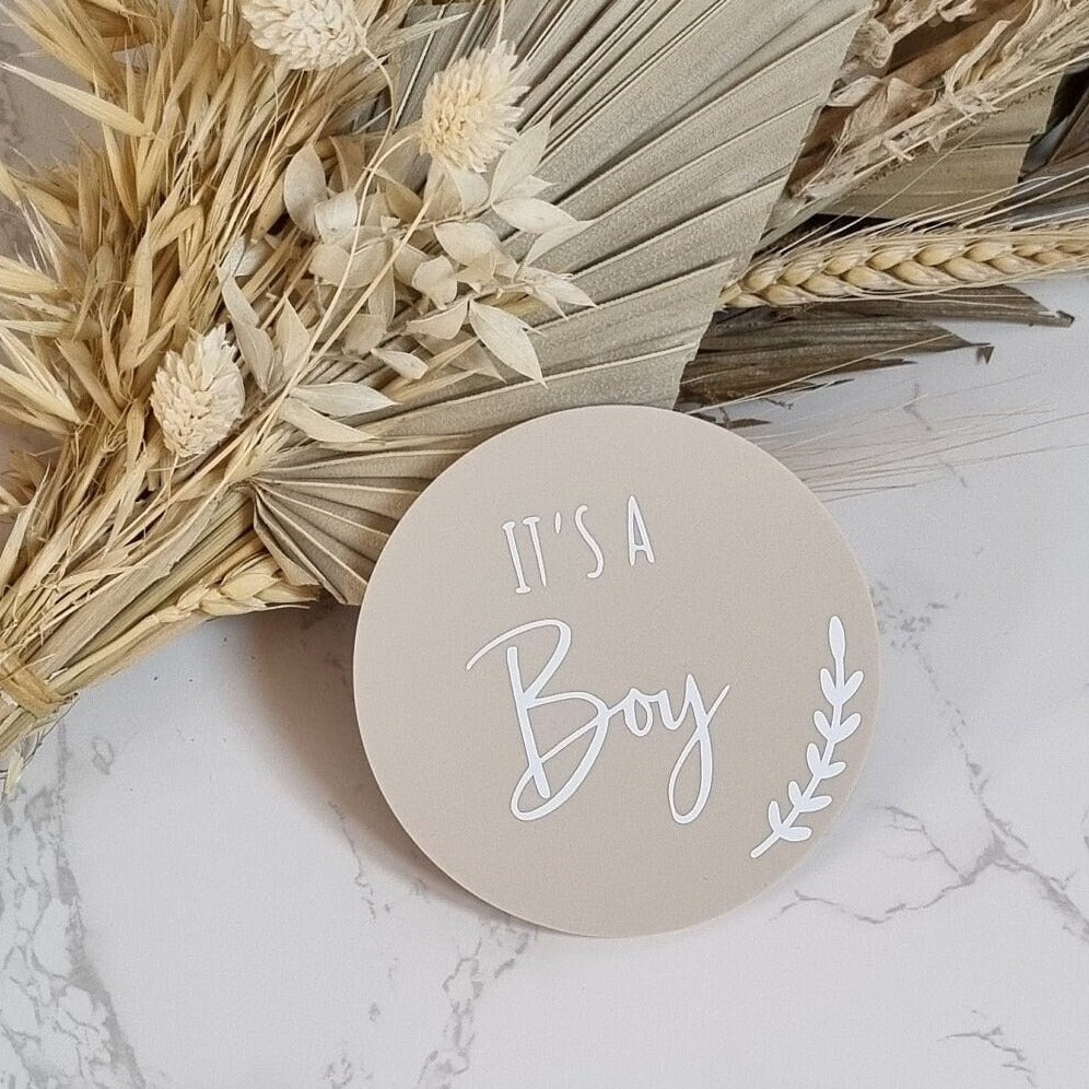 Single Sided It's a Girl, It's a Boy Gender Reveal Plaque Petite Souris Creations